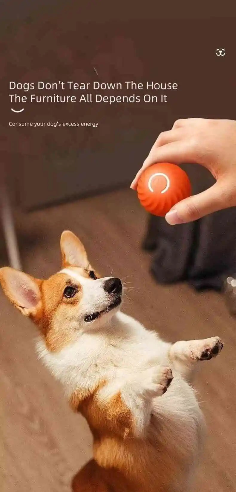 GlowRoll™ Smart Pet Ball