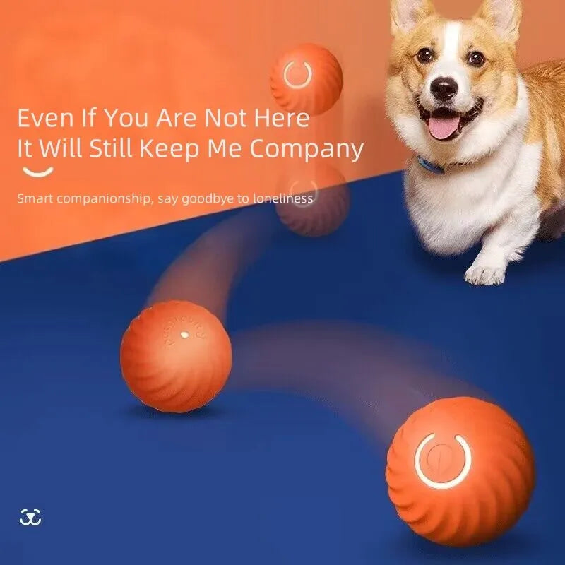 GlowRoll™ Smart Pet Ball