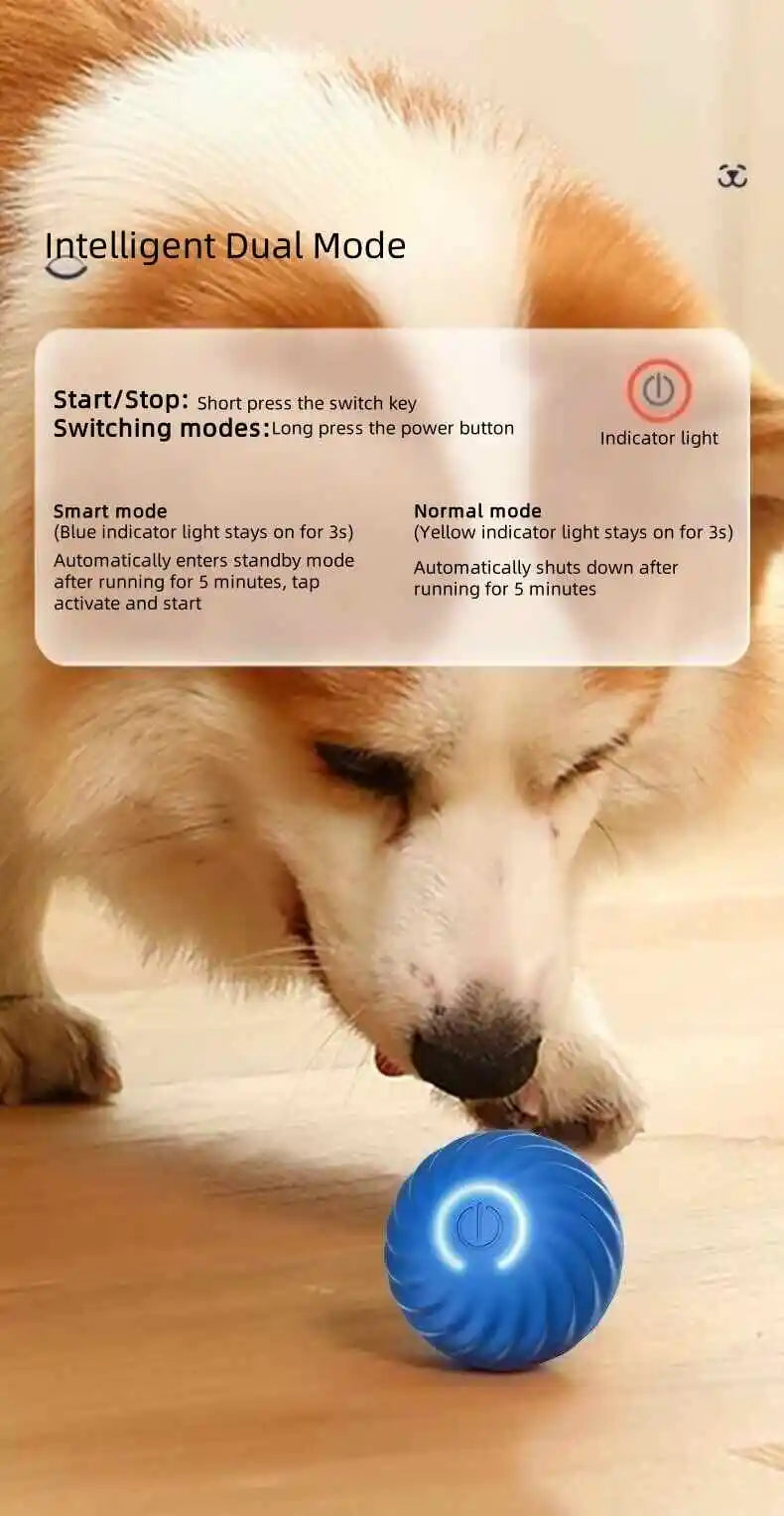 GlowRoll™ Smart Pet Ball