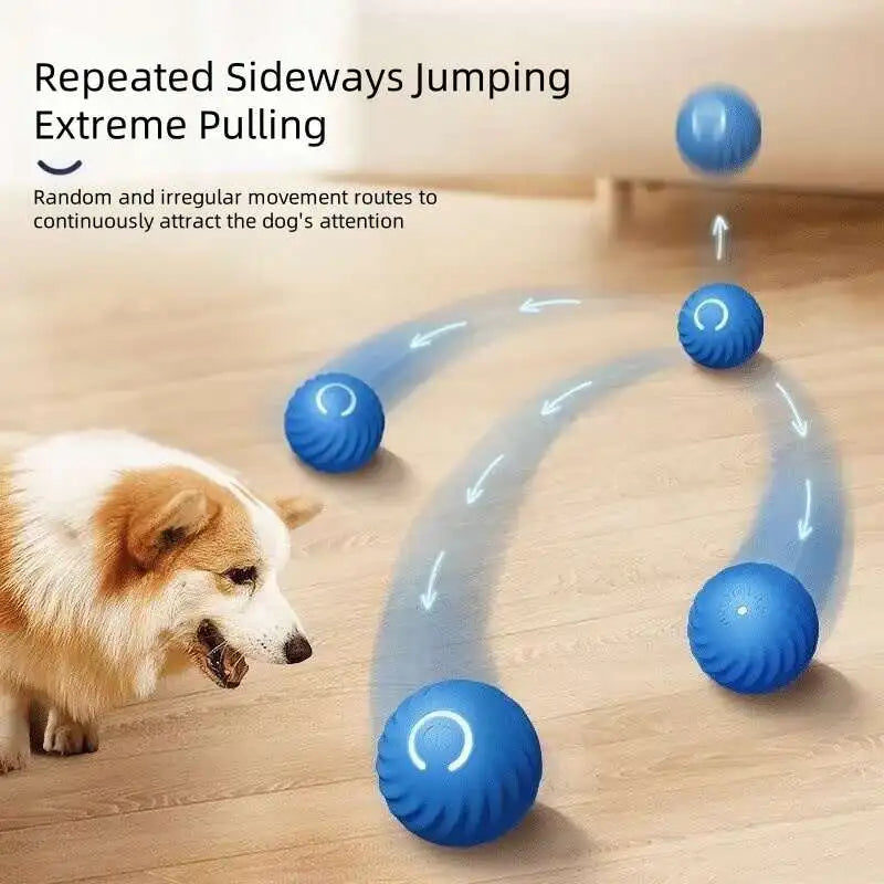 GlowRoll™ Smart Pet Ball