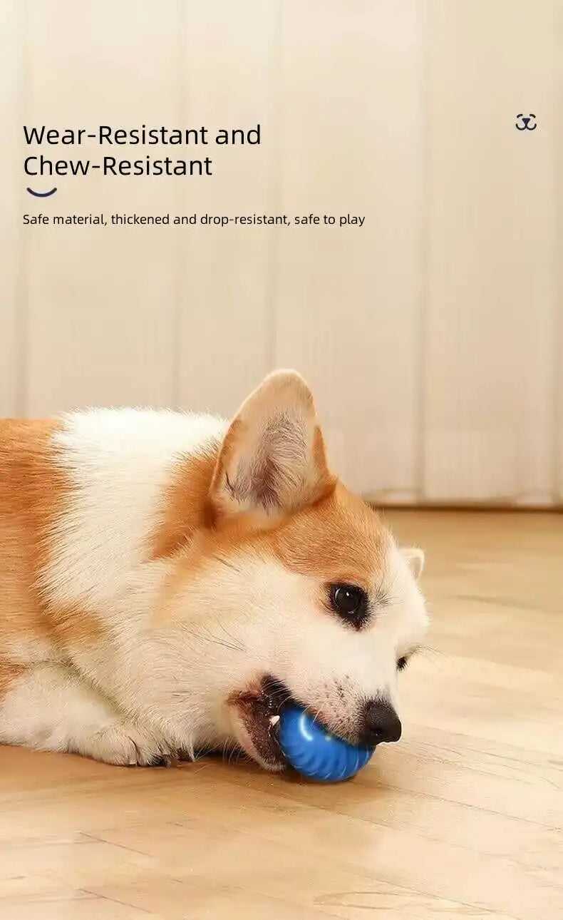 GlowRoll™ Smart Pet Ball